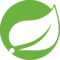 Spring Boot icon